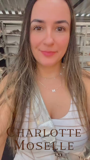 Bolsa IPANEMA em couro legítimo